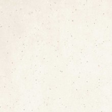Carles blanc FF00023770 rect. R9 60x60x0,74 - Hansas Plaadimaailm